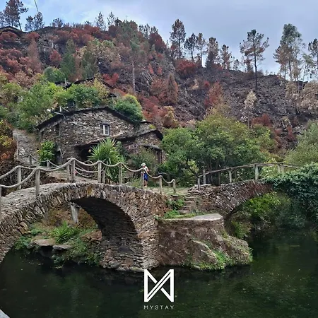 Couette-café Mystay - Campus Natura