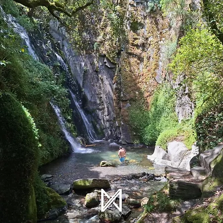 Bed & Breakfast Mystay - Campus Natura 3*