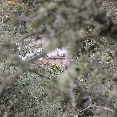 Campus Natura Bed & Breakfast Arganil