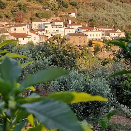 Campus Natura Arganil